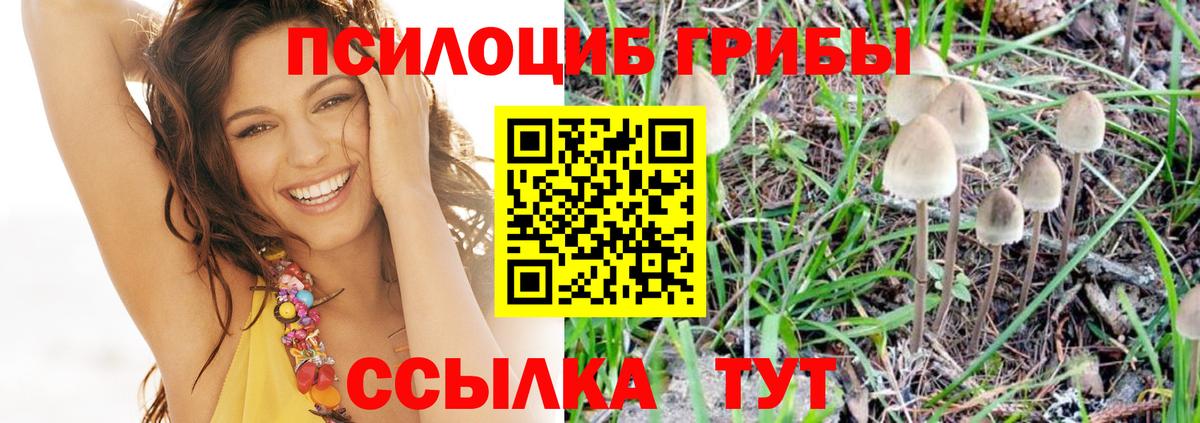 Псилоцибиновые грибы GOLDEN TEACHER Сыктывкар